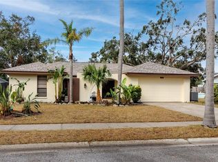 391 Meravan Ct, Palm Harbor, FL 34683