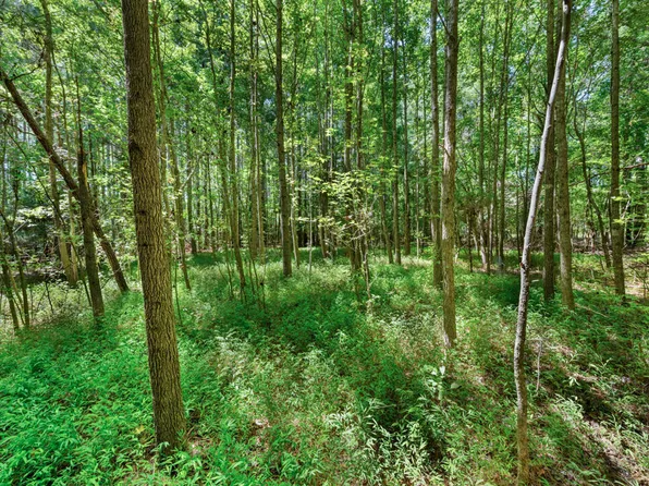 4110 Wilson Town Rd Lot 3, Oxford, NC 27565