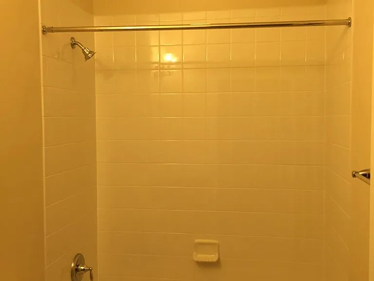 Common Bathroom (Bath #2)