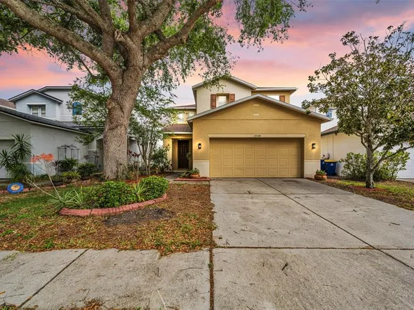 17539 Balmaha Dr, Land O Lakes, FL 34638