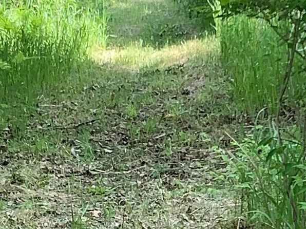 30th Ave, Remus, MI 49340