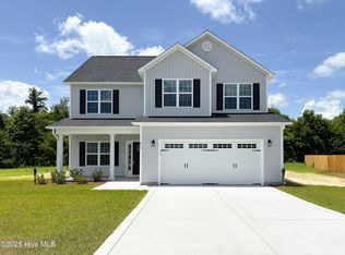 413 W Black Water Ln, Maysville, NC 28555