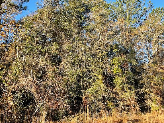 4th image of Jarriels Bridge Spur