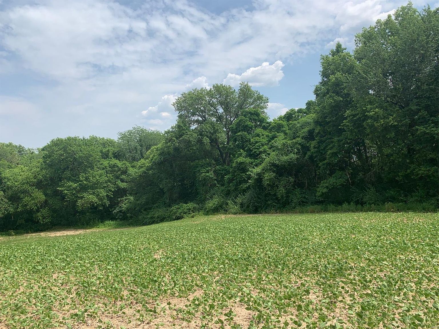 78 State Route 4, Saint Jacob, IL 62281 MLS 23035418 Zillow