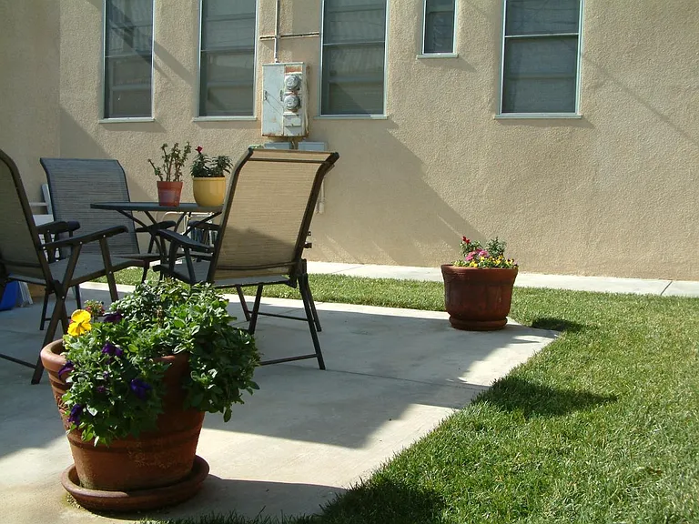 backyard