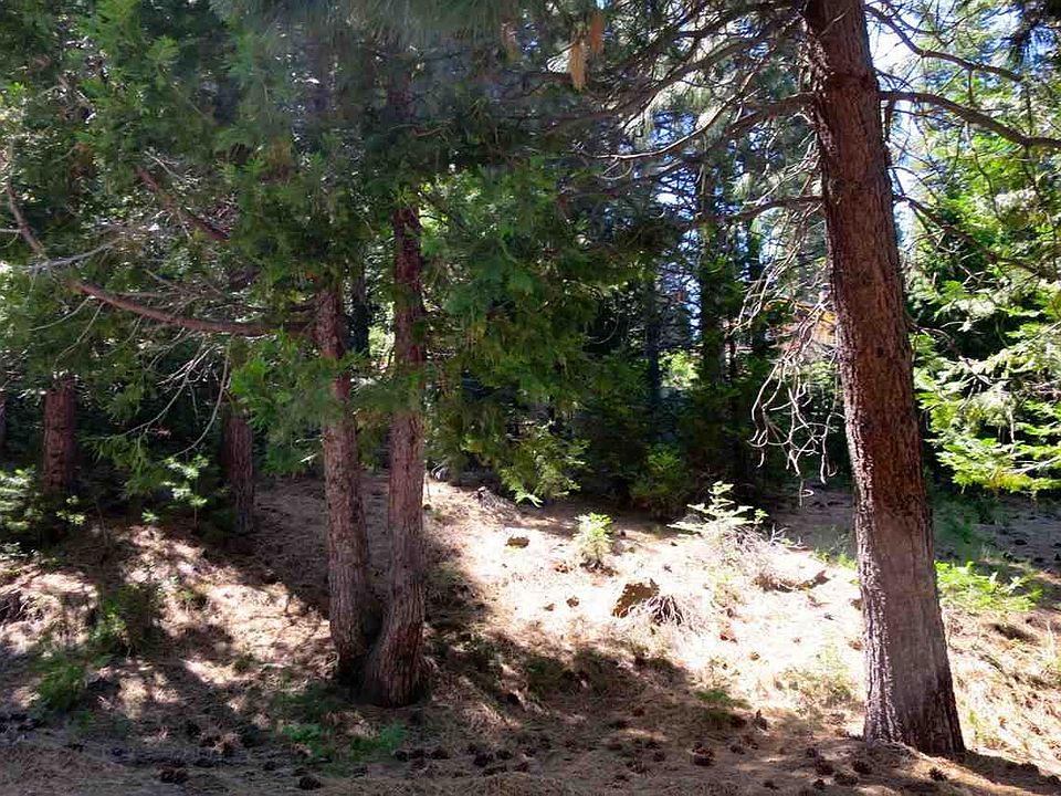 2nd image of 823 Lake Ridge Rd