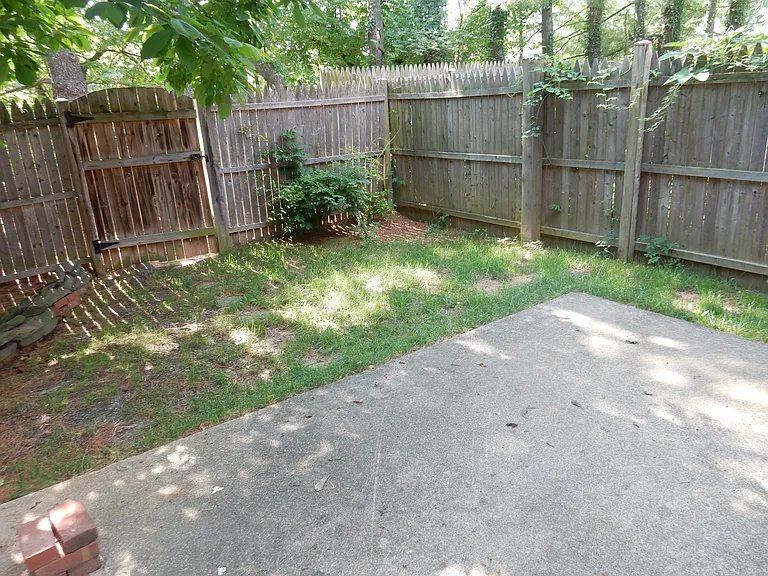 backyard from French doors