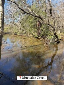 0 State Highway 153, Americus, GA, 31719