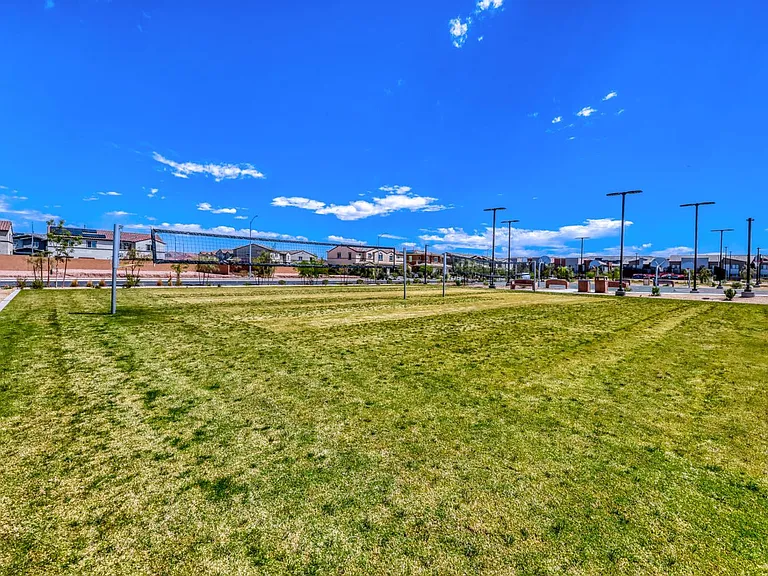 911 Cadence View Way — Photo 24