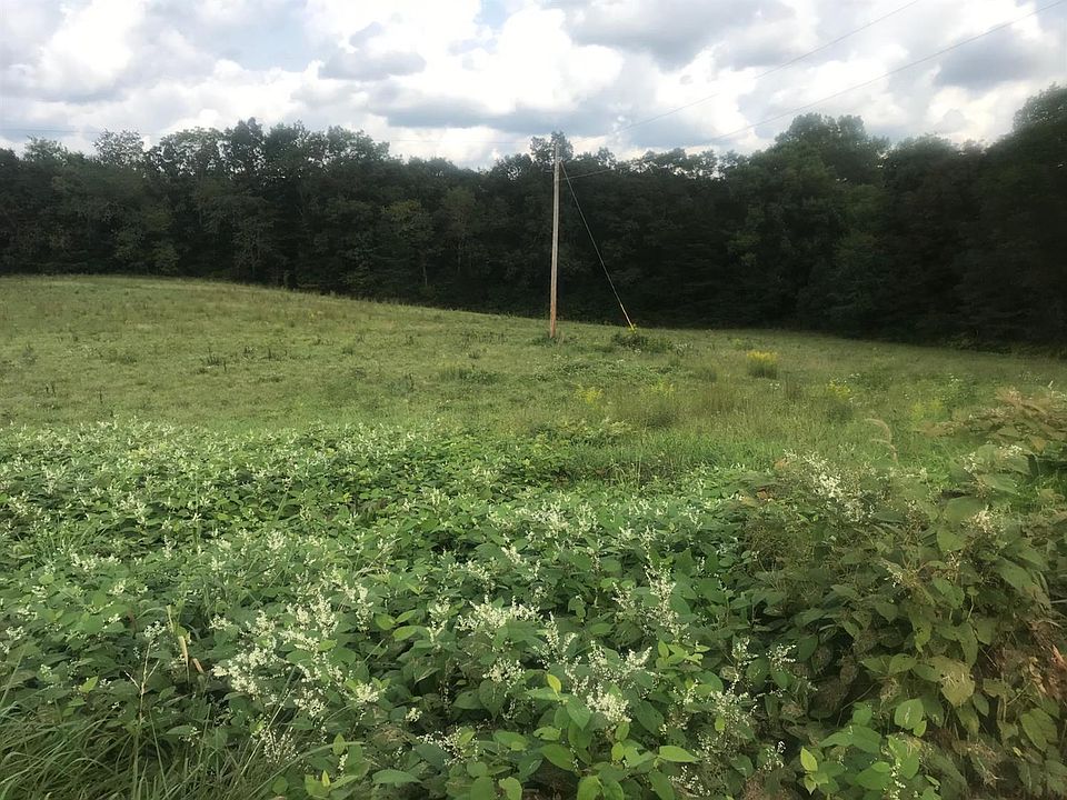 2nd image of 9999 Mt. Zion Rd