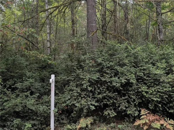 714 Webb Road SW, Lakebay, WA 98349