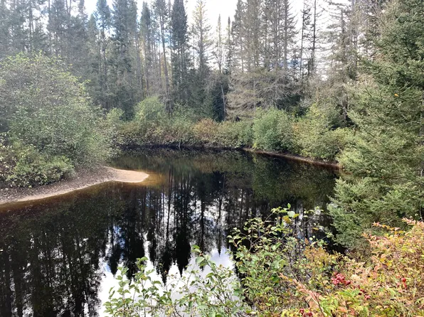 101 Proudfoot Rd, Armour, ON P0A 1Z0