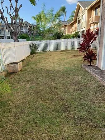 Spacious fenced backyard