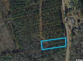 LOT 1 Highway 66, Loris, SC 29569
