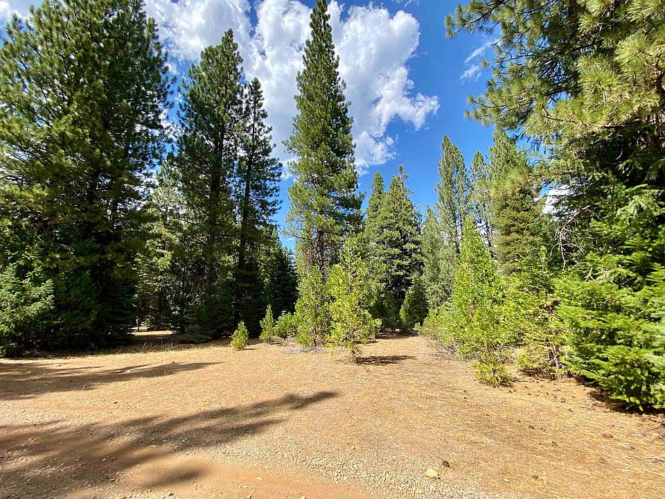 1st image of 1301 Lodgepole Trl