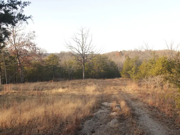 Tbd Arroyo Street, Forsyth, MO 65653