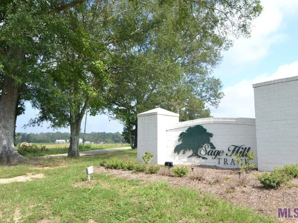 90109 Basil Ln, Saint Francisville, LA 70775