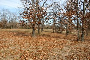 2nd image of 37 Acres Lot 1-5