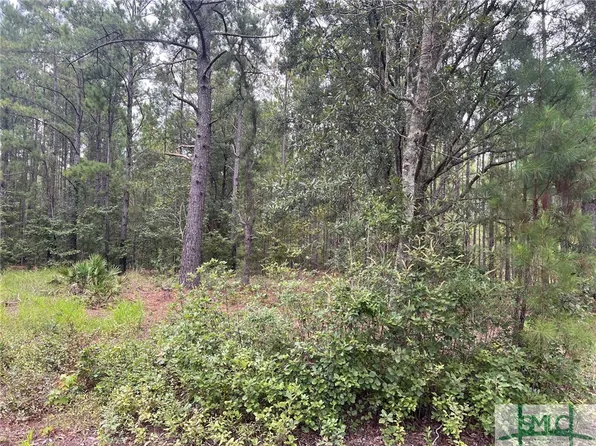 110 Sunrise Point Drive, Guyton, GA 31312