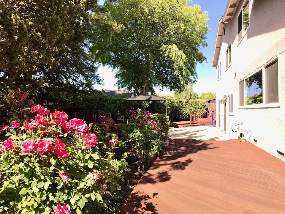 Beautiful deck and spacious backyard