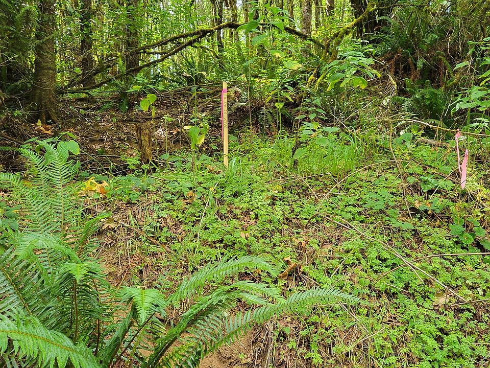 2nd image of Coal Creek Rd