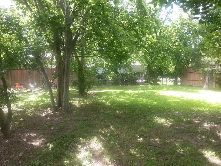 Back Garden