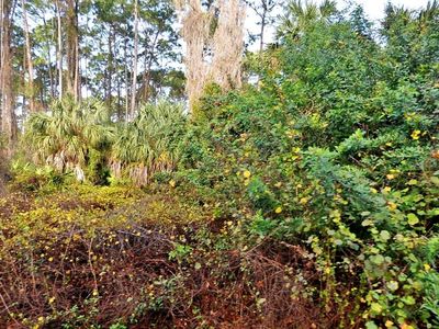 Daphne Rd #15, North Pt, FL, 34288