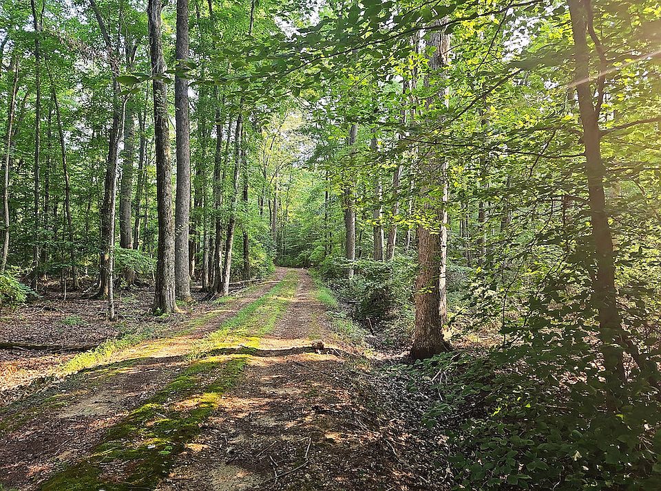 1st image of 0 Burnt Mill Rd