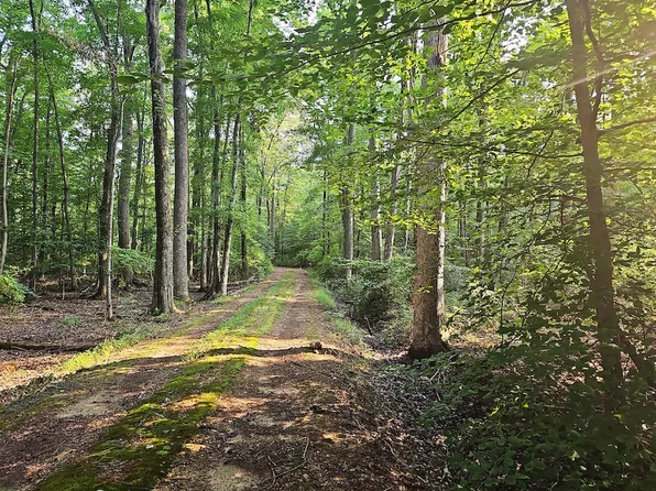 0 Burnt Mill Rd, Ridgely, MD 21660