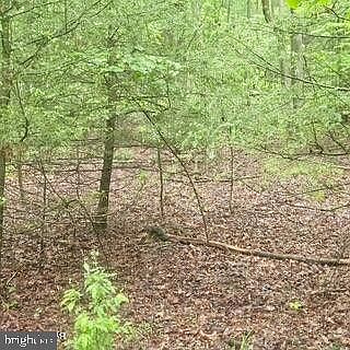 2nd image of LOT 7B Hemlock Ridge Rd