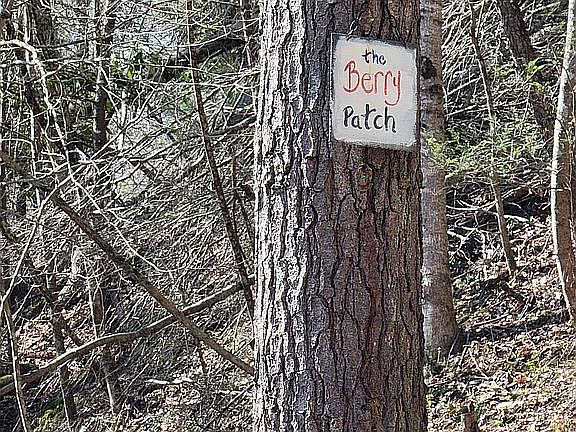 5th image of 9879 Jacks Creek Rd