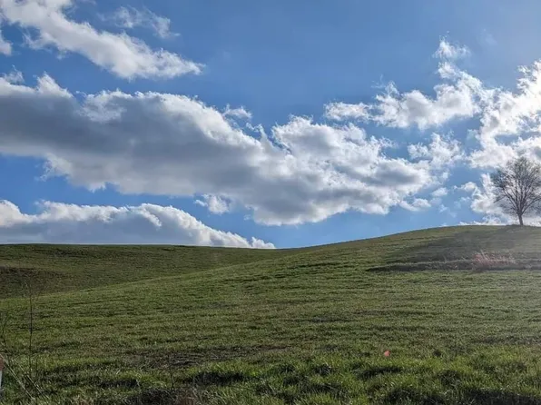 159 Tom Lewis Rd, Limestone, TN 37681