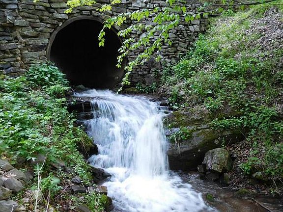 Preserve at New Creek Lake