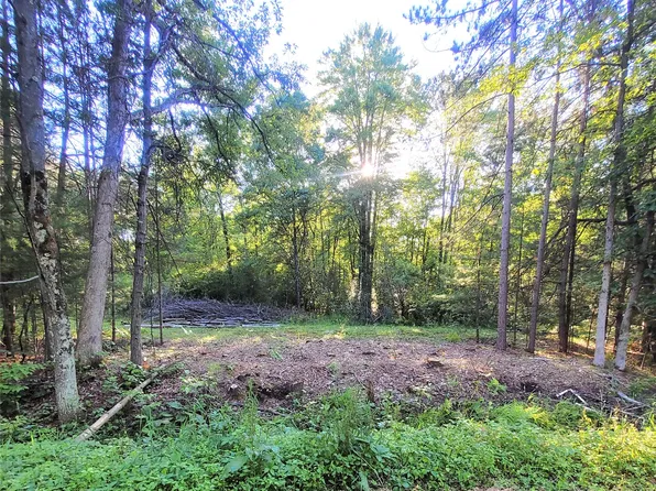 Lot 6 Old Highway 12, Merrillan, WI 54754
