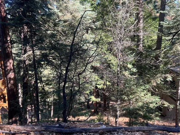 0 Forest Gln Lot 63, Twin Peaks, CA 92391