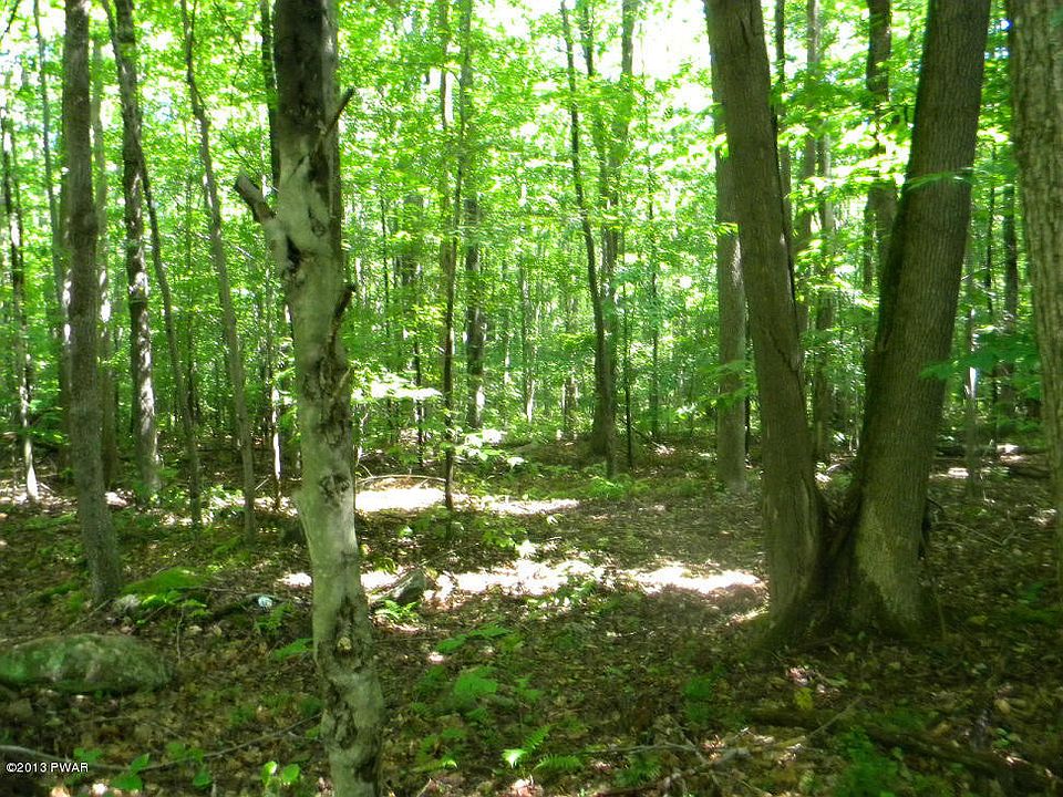 2nd image of Berry Hill Rd