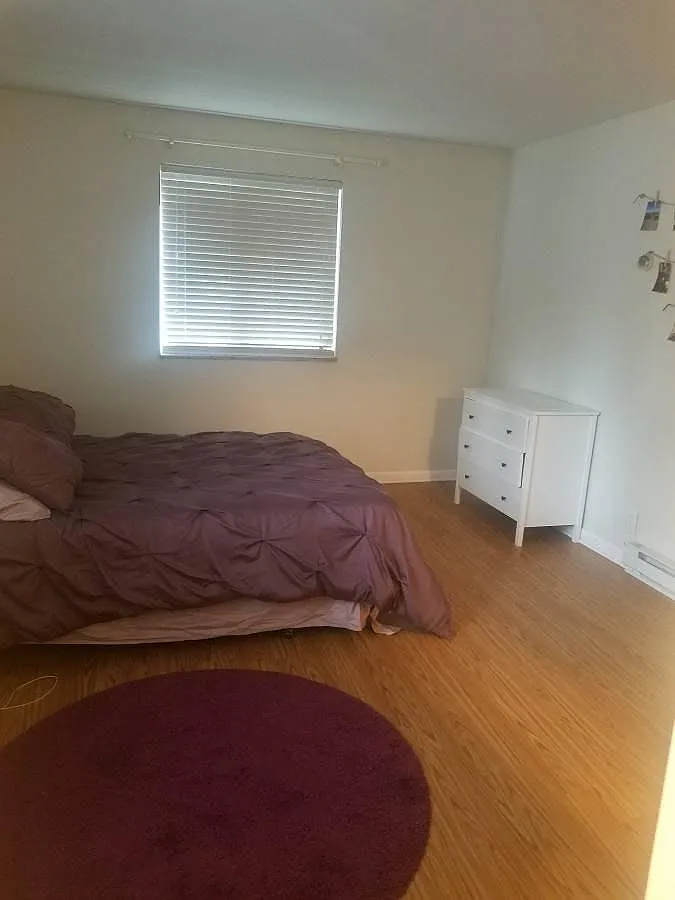 1 bed, 552 sqft, $1,250 — Photo 4