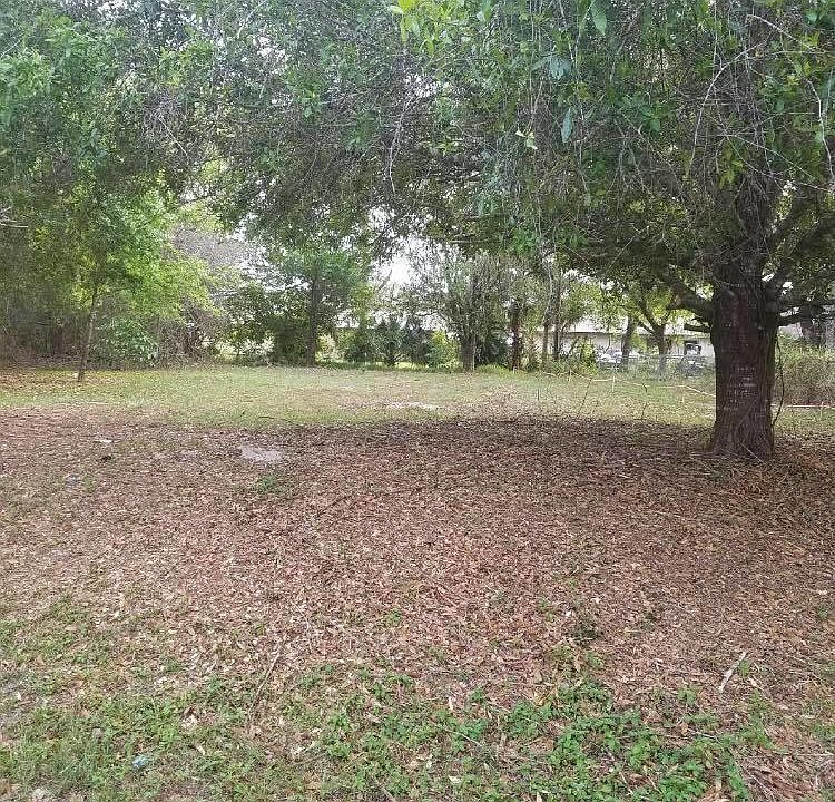 1st image of Tbd Belleair Avenue