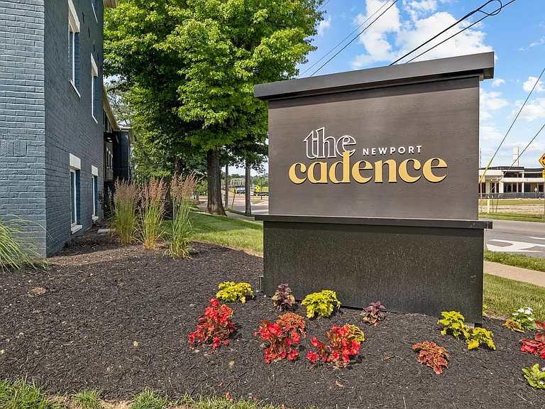 Cadence of Newport