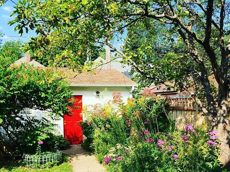 Backyard in summer - beautiful perennial flowers!