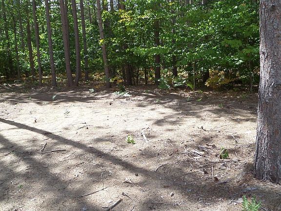 5th image of 11382 Emerald Forest Ln