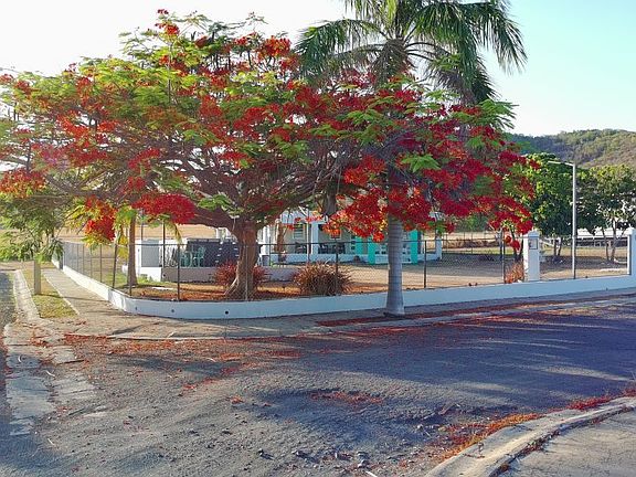 4th image of Carr 301 Km 2.8 Int Urb Colinas De Combate G 1