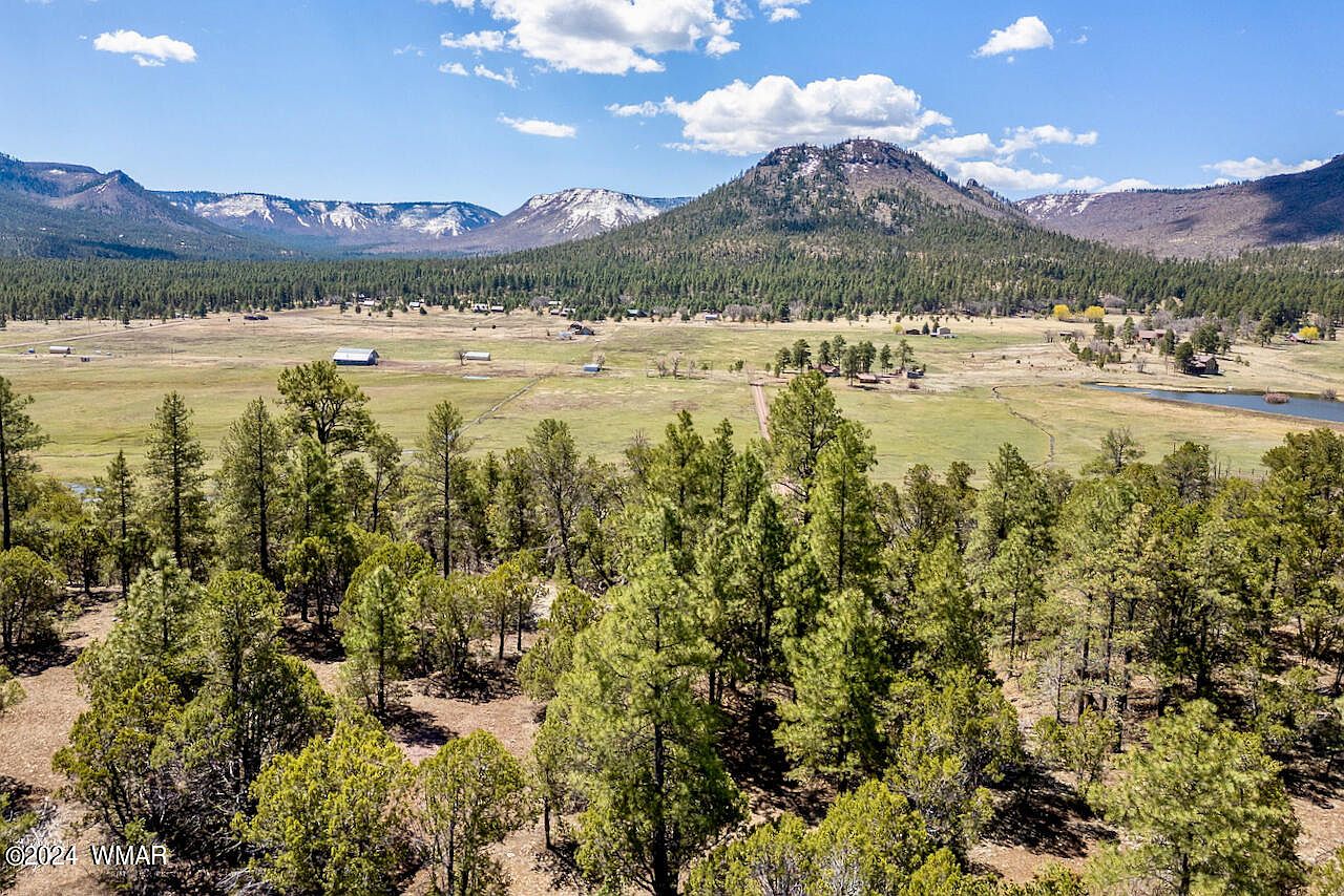 County Road 2030 Forest Ln, Nutrioso, AZ 85932 MLS 250608 Zillow