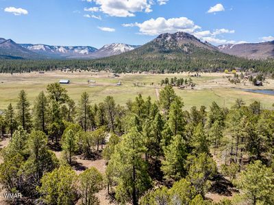 County Road 2030 Forest Ln, Nutrioso, AZ, 85932