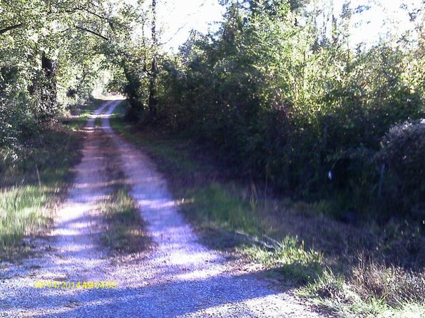 2 County Road Other, Lower Peach Tree, AL 36751