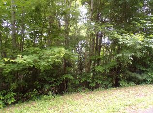 0 Callalantee Dr, Mountain City, TN