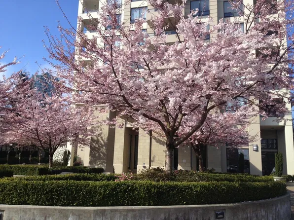 4333 Central Blvd #307, Burnaby, BC V5H 4W8