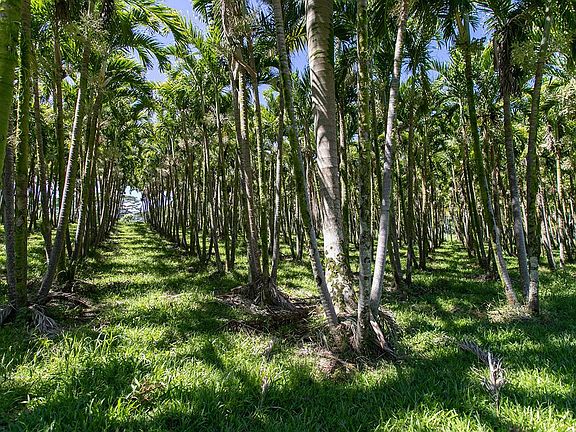 5th image of 28-1829 Old Mamalahoa Hwy
