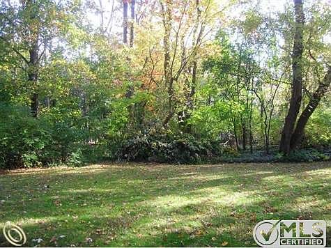3 - Wooded Backyard.JPG