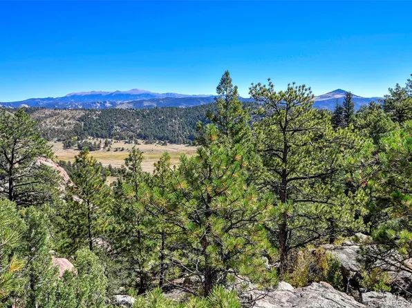 TBD Carl Road, Florissant, CO 80816